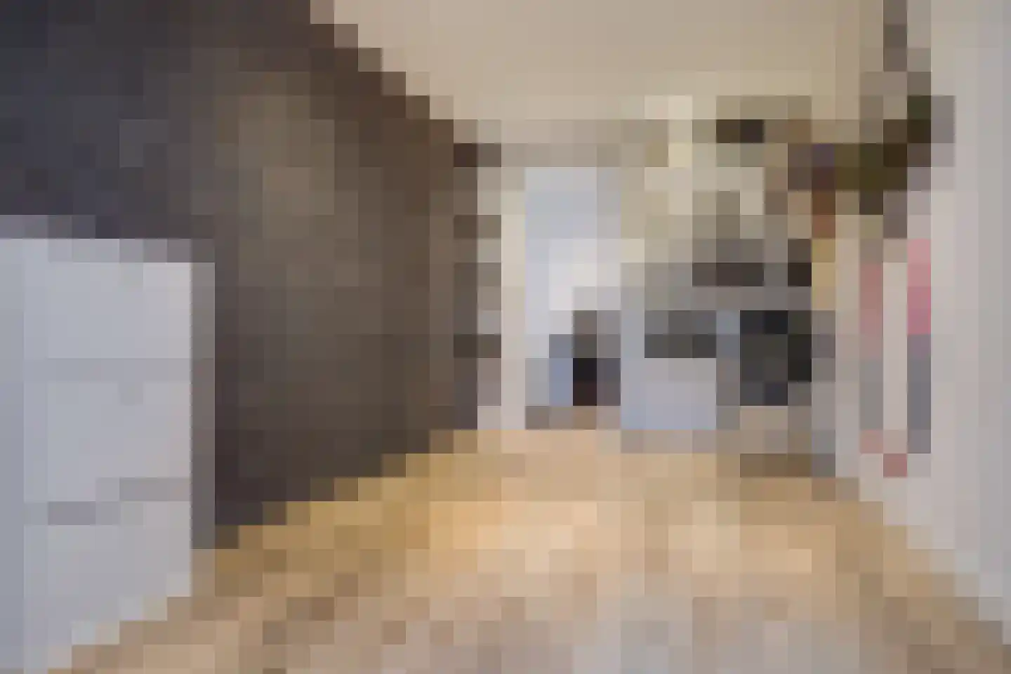 Pinkewad 3 Volendam thumbnail 21