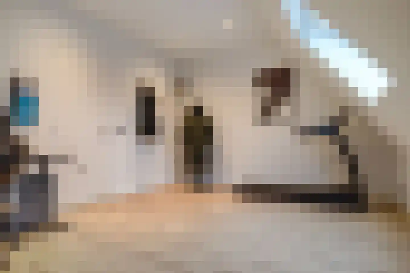 Pinkewad 3 Volendam thumbnail 43