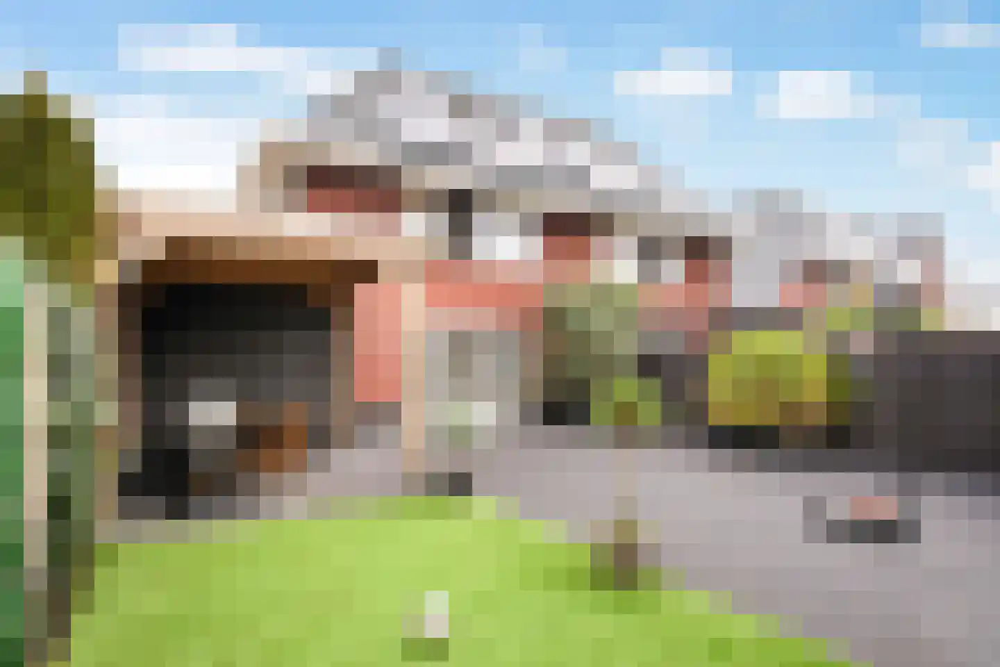 Pinkewad 3 Volendam thumbnail 51