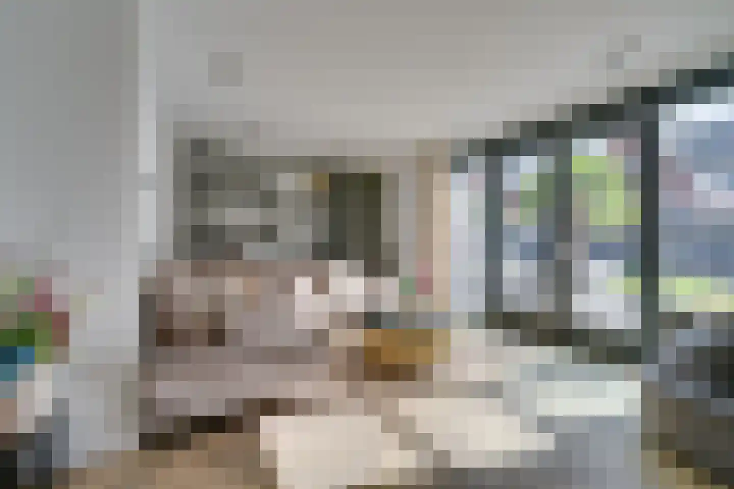 Pinkewad 5 Volendam thumbnail 11