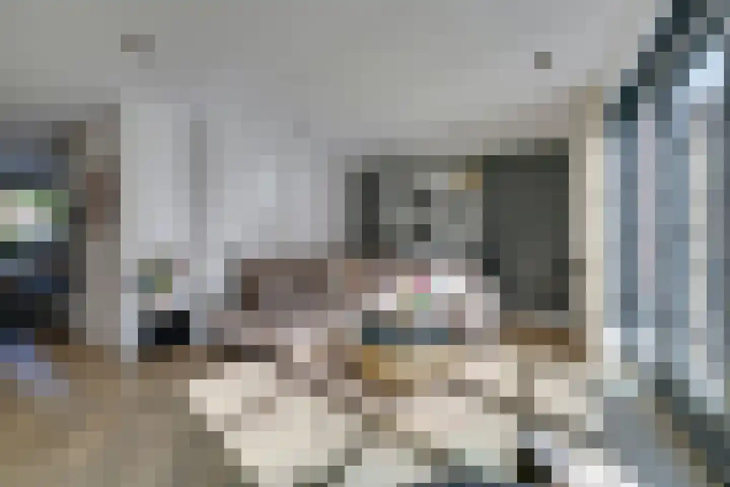 Pinkewad 5 Volendam thumbnail 12