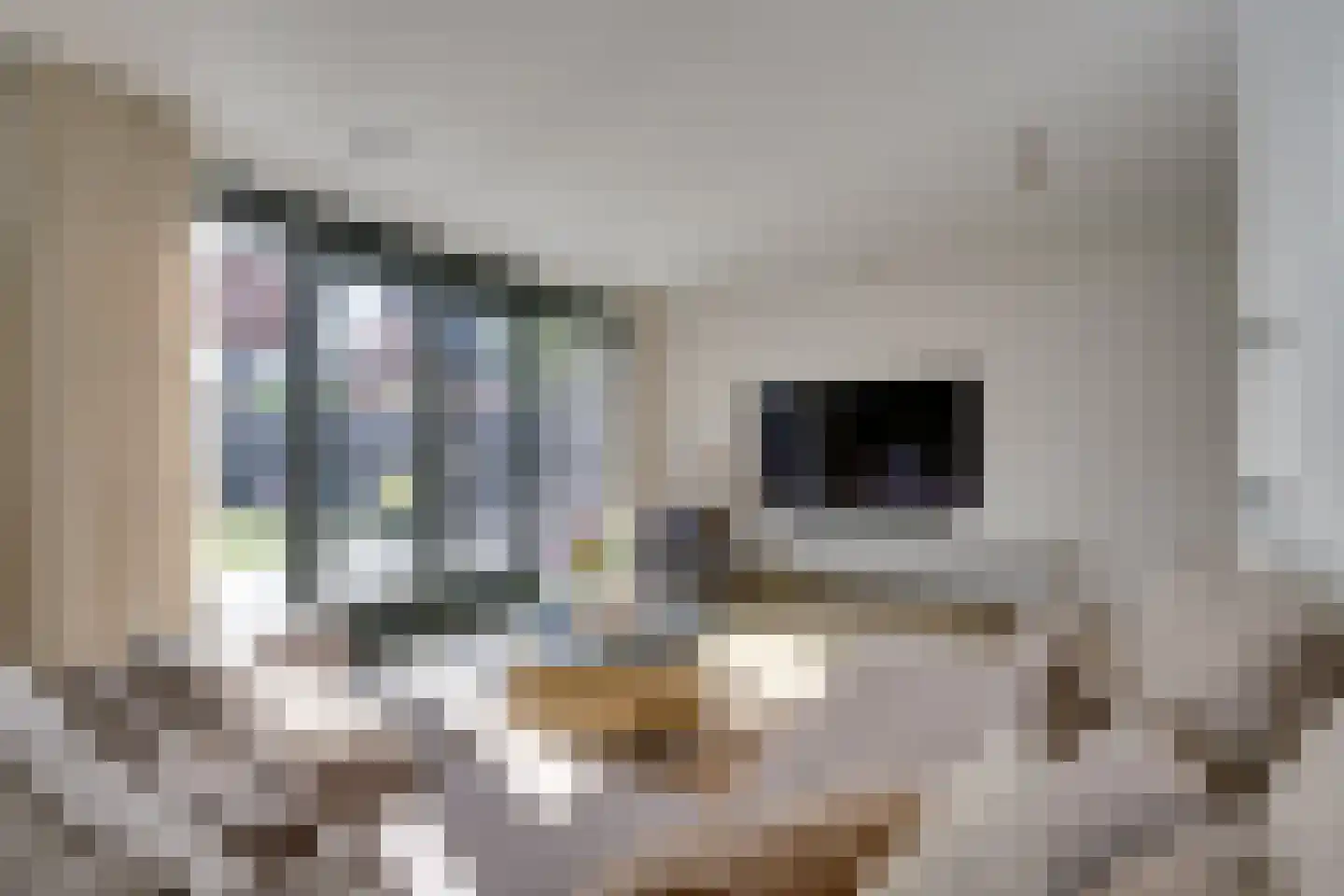 Pinkewad 5 Volendam thumbnail 15