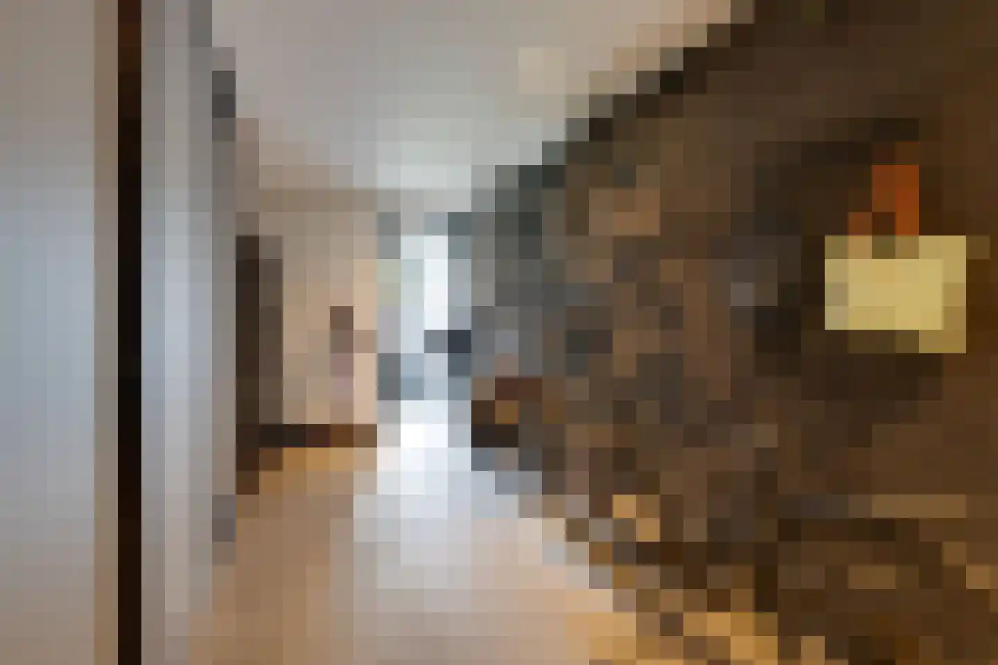 Pinkewad 5 Volendam thumbnail 34