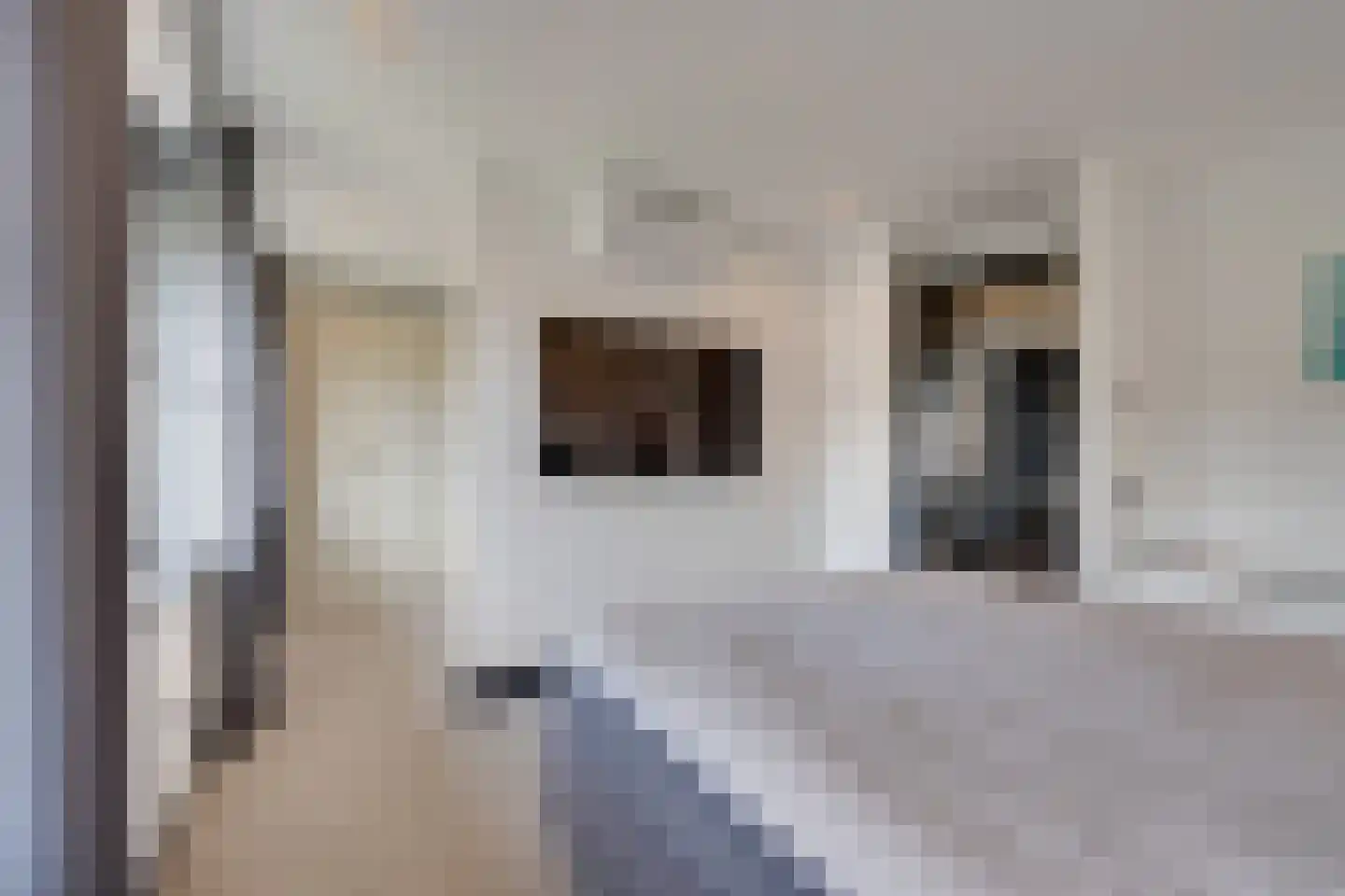 Pinkewad 5 Volendam thumbnail 39