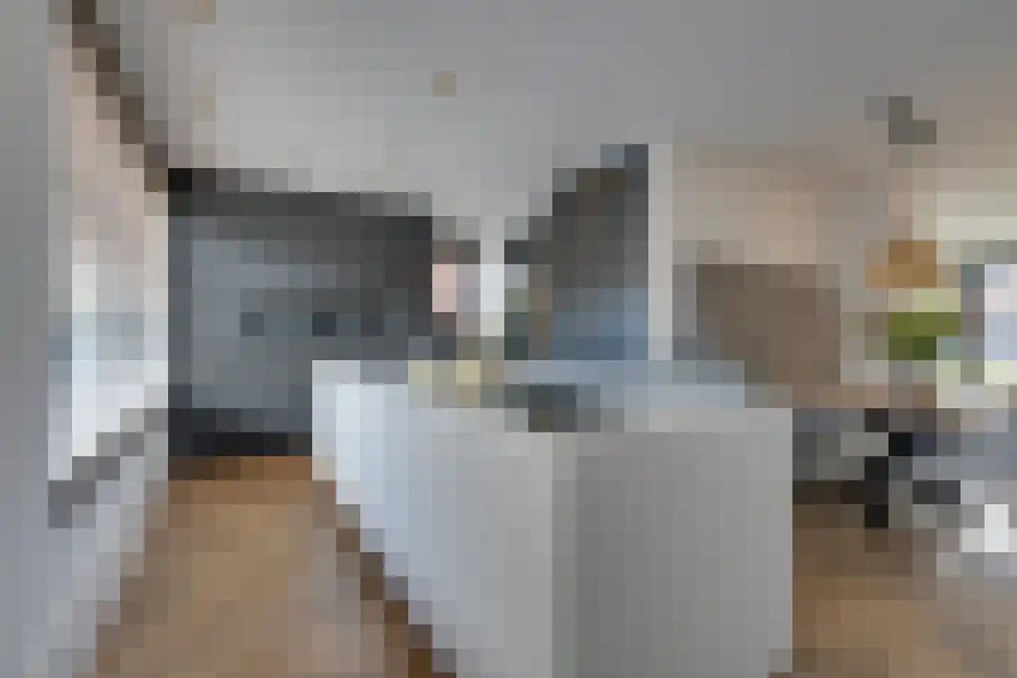 Pinkewad 5 Volendam thumbnail 4