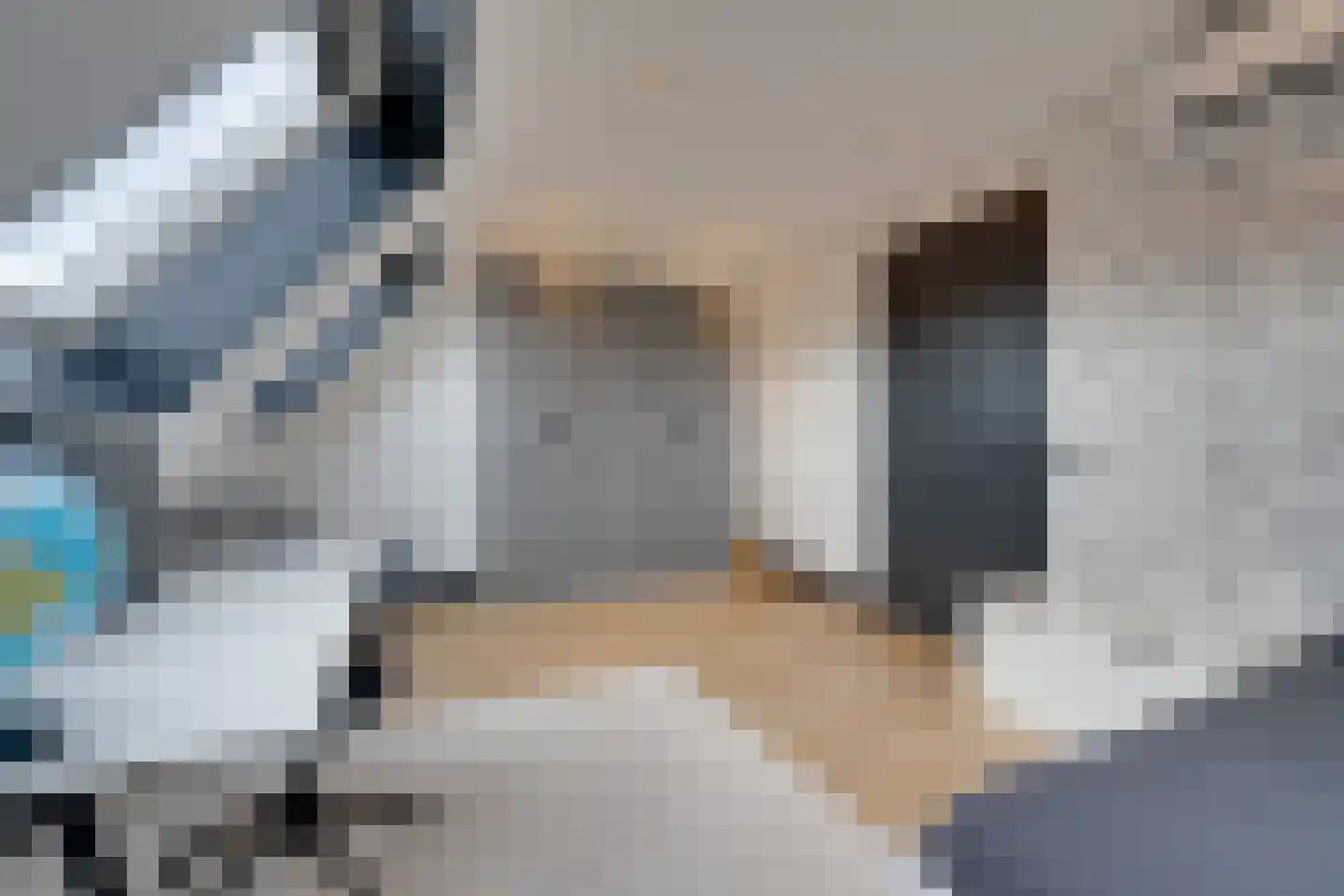 Pinkewad 5 Volendam thumbnail 54