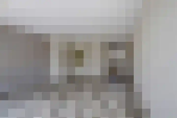 Pinksterbloem 1 Haastrecht thumbnail 10
