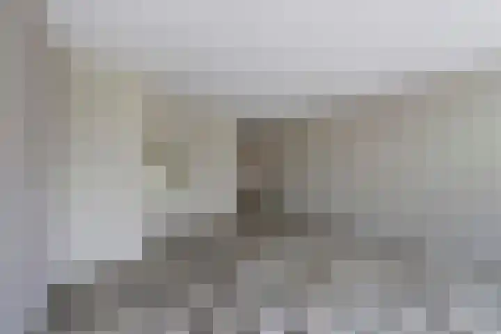 Pinksterbloem 1 Haastrecht thumbnail 11