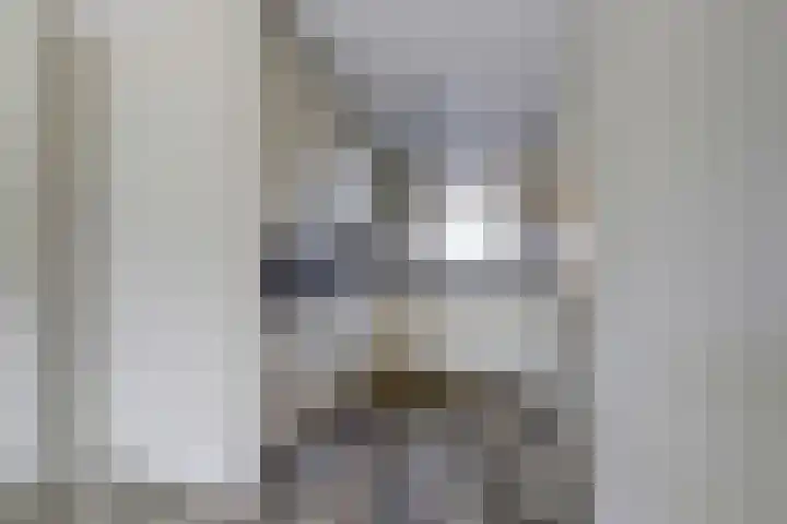 Pinksterbloem 1 Haastrecht thumbnail 12