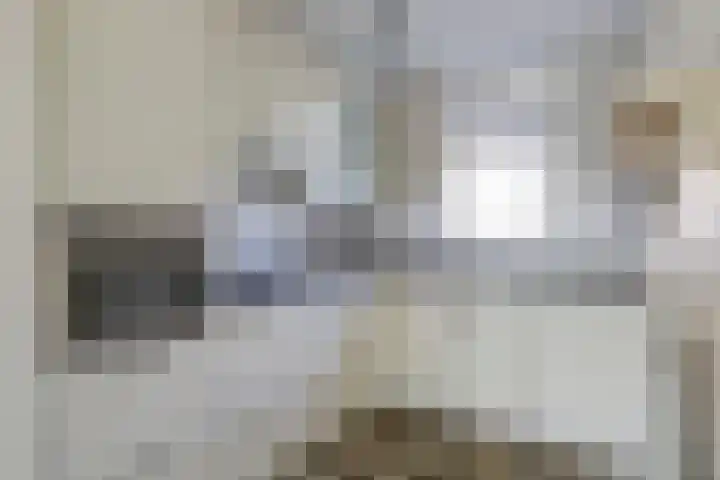 Pinksterbloem 1 Haastrecht thumbnail 13