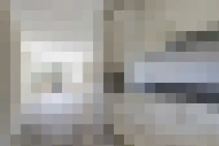 Pinksterbloem 1 Haastrecht thumbnail 14