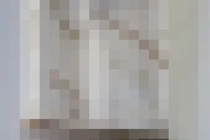 Pinksterbloem 1 Haastrecht thumbnail 16