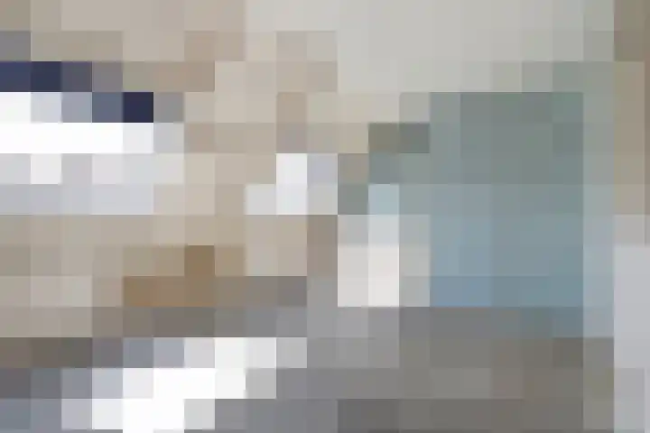 Pinksterbloem 1 Haastrecht thumbnail 17