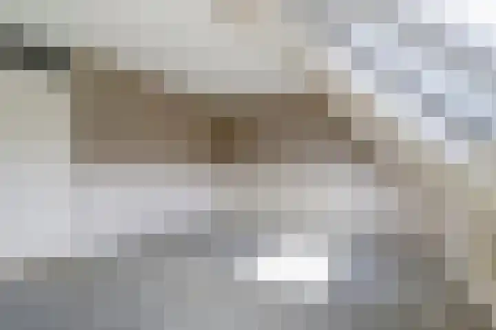 Pinksterbloem 1 Haastrecht thumbnail 18
