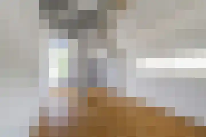 Pinksterbloem 1 Haastrecht thumbnail 22