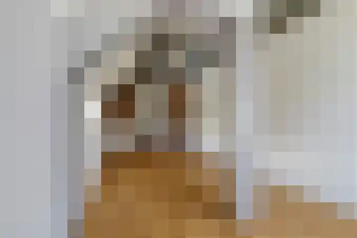 Pinksterbloem 1 Haastrecht thumbnail 23