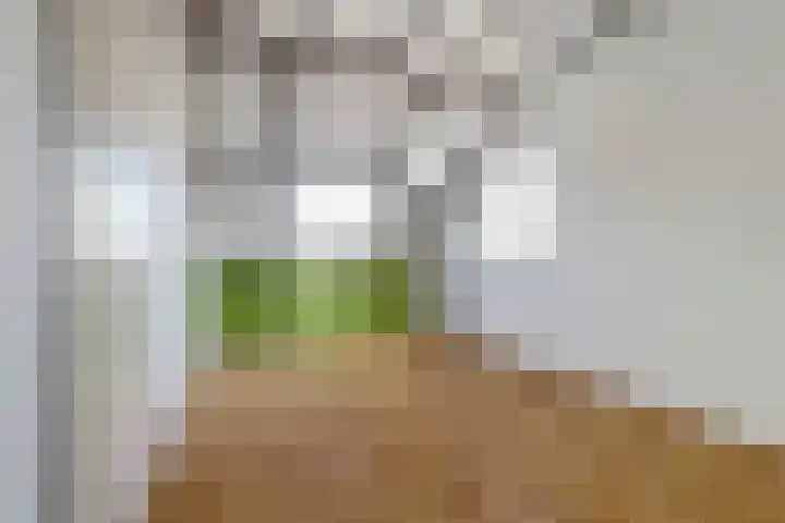 Pinksterbloem 1 Haastrecht thumbnail 30