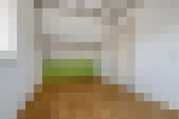 Pinksterbloem 1 Haastrecht thumbnail 31
