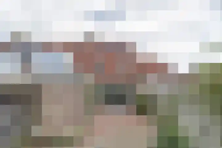 Pinksterbloem 1 Haastrecht thumbnail 33