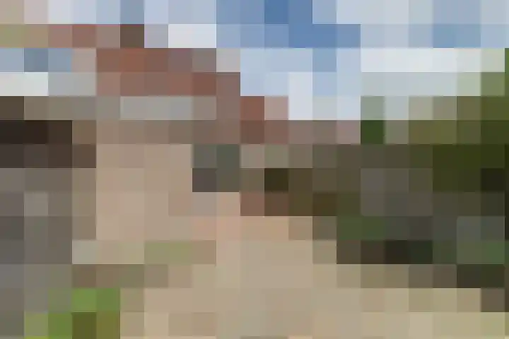 Pinksterbloem 1 Haastrecht thumbnail 34