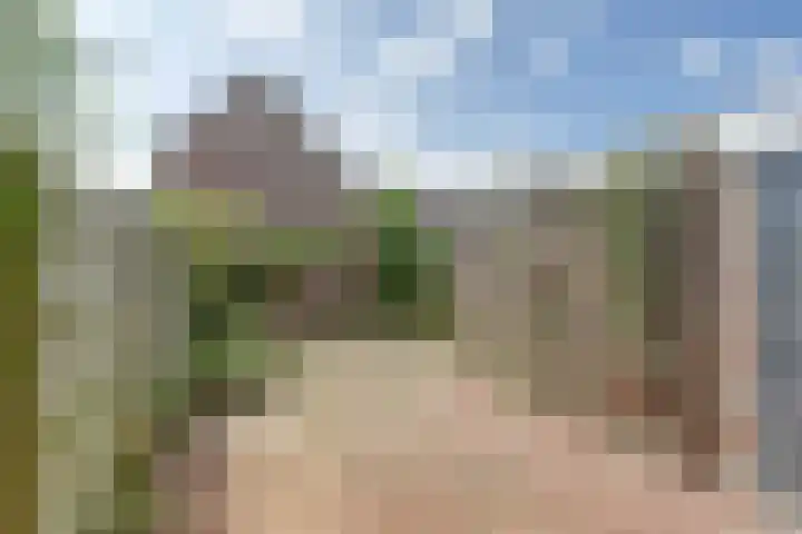 Pinksterbloem 1 Haastrecht thumbnail 38