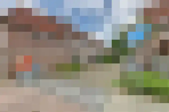 Pinksterbloem 1 Haastrecht thumbnail 39