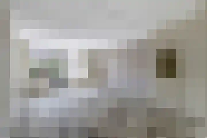 Pinksterbloem 1 Haastrecht thumbnail 4