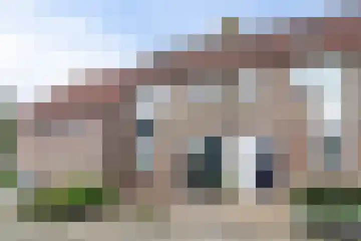 Pinksterbloem 1 Haastrecht thumbnail 6