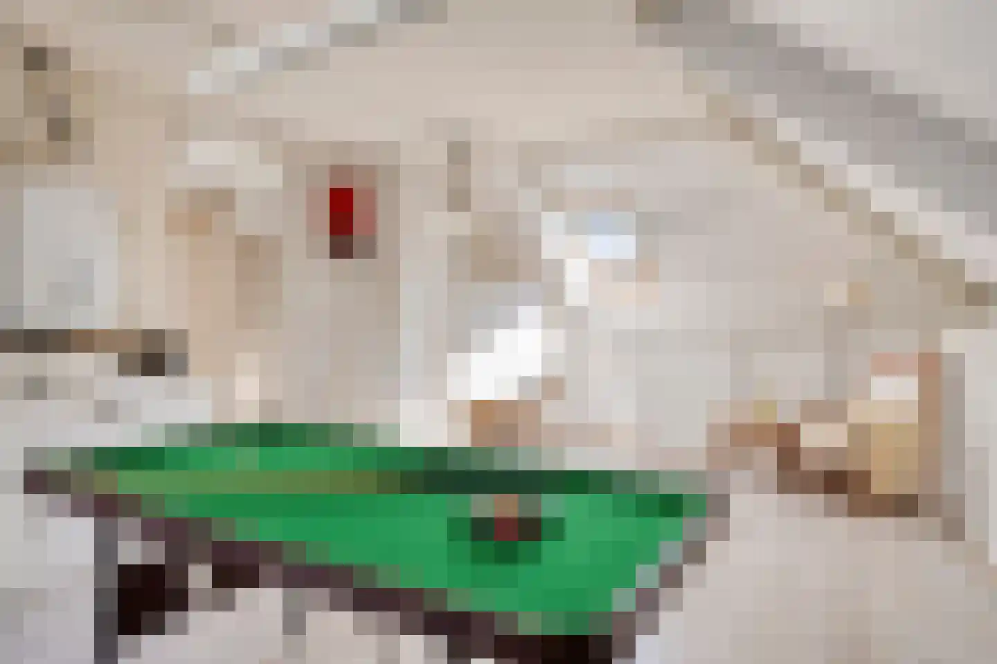 Pinksterbloem 10 Heino thumbnail 39
