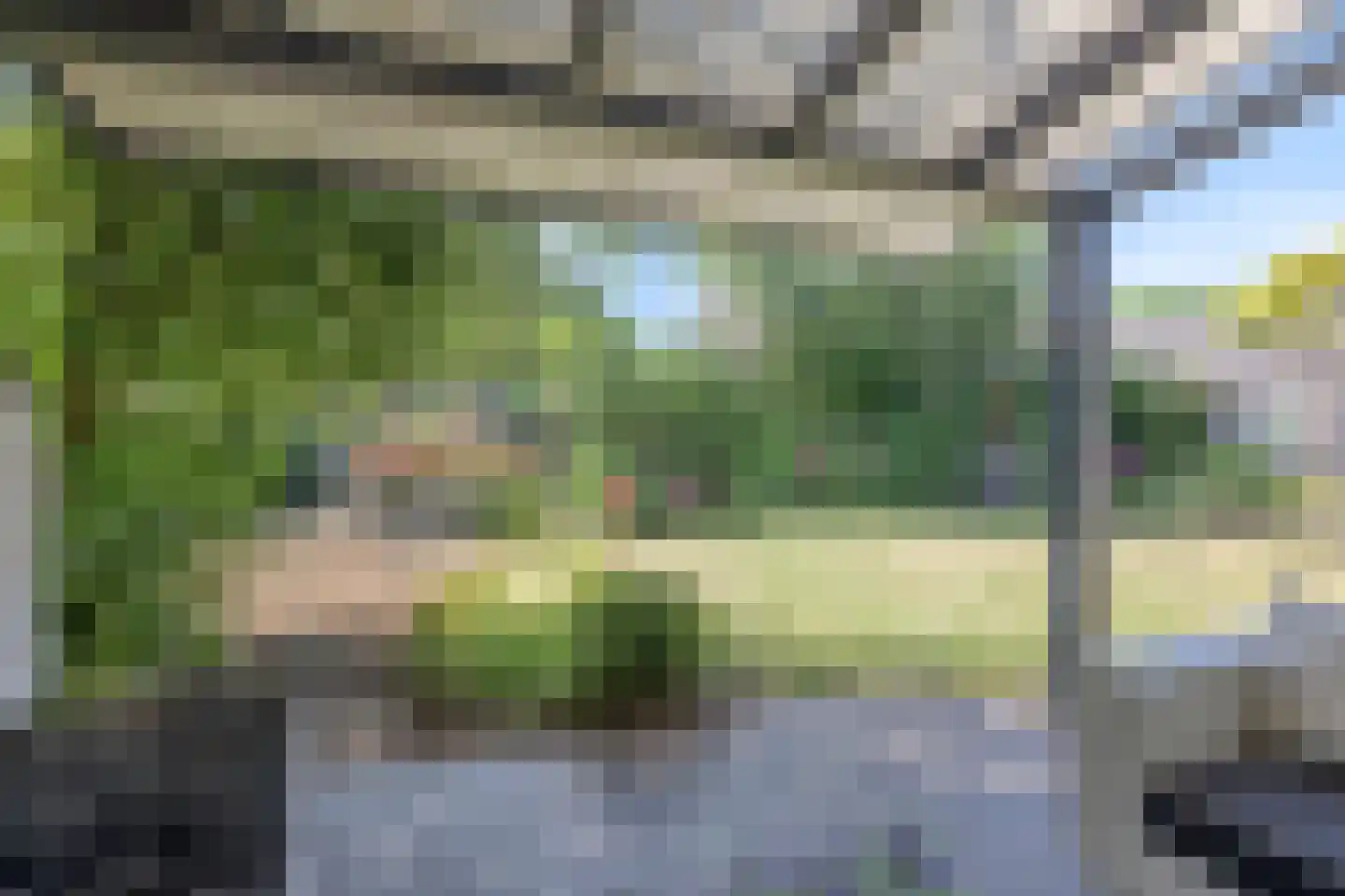 Pinksterbloem 10 Heino thumbnail 44