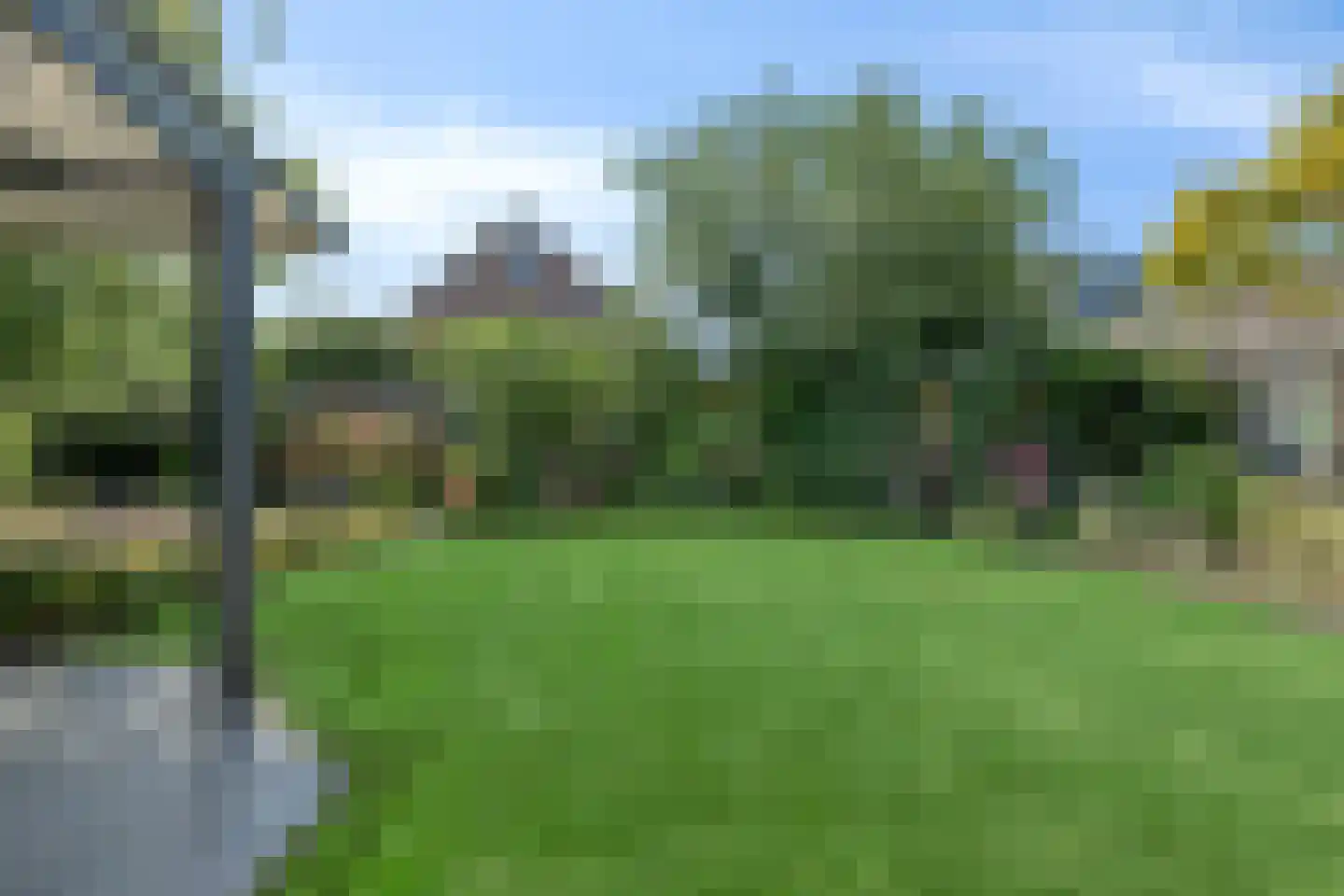 Pinksterbloem 10 Heino thumbnail 45