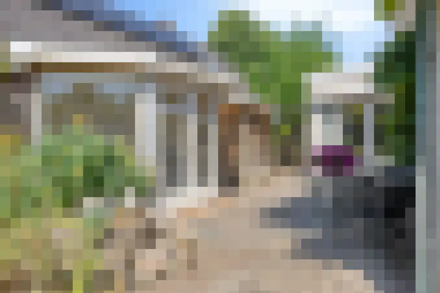 Pinksterbloem 10 Heino thumbnail 50