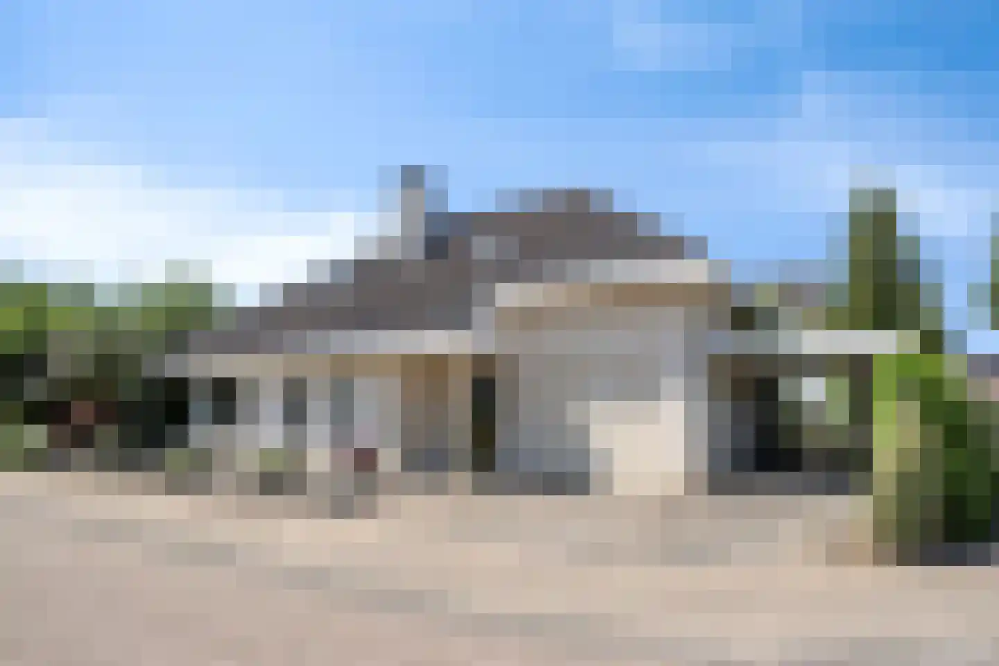 Pinksterbloem 10 Heino thumbnail 59