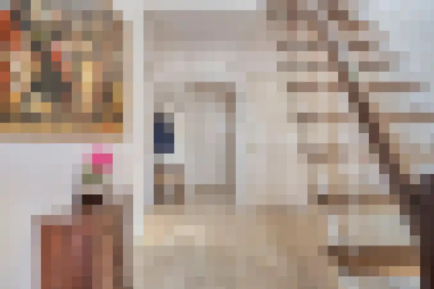 Pinksterbloem 10 Heino thumbnail 6