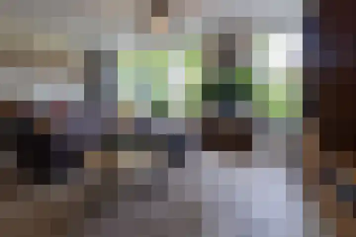 Pinksterbloem 10 Marum thumbnail 10
