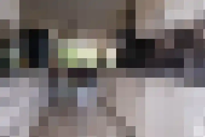 Pinksterbloem 10 Marum thumbnail 15
