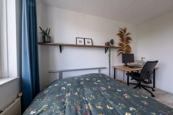 Pinksterbloem 10 Marum thumbnail 24
