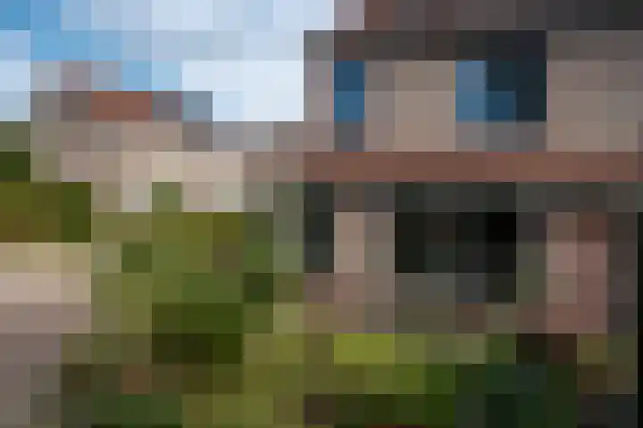 Pinksterbloem 10 Marum thumbnail 31