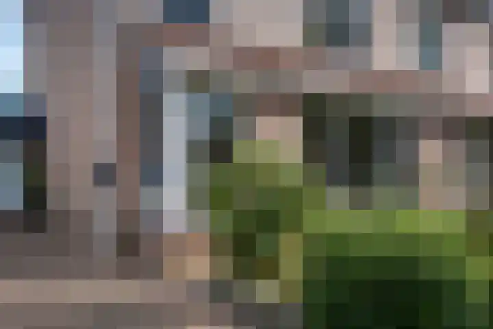 Pinksterbloem 10 Marum thumbnail 32