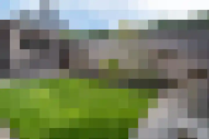 Pinksterbloem 10 Marum thumbnail 41