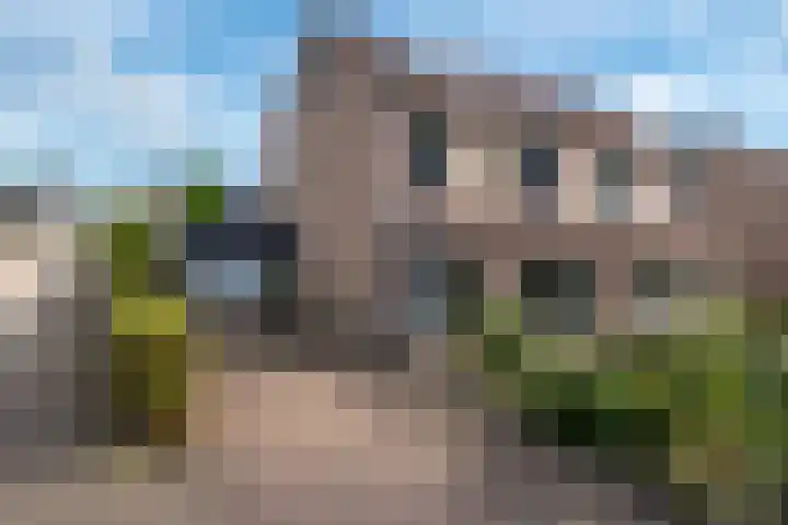 Pinksterbloem 10 Marum thumbnail 6