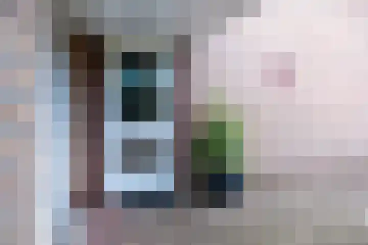 Pinksterbloem 10 Marum thumbnail 7