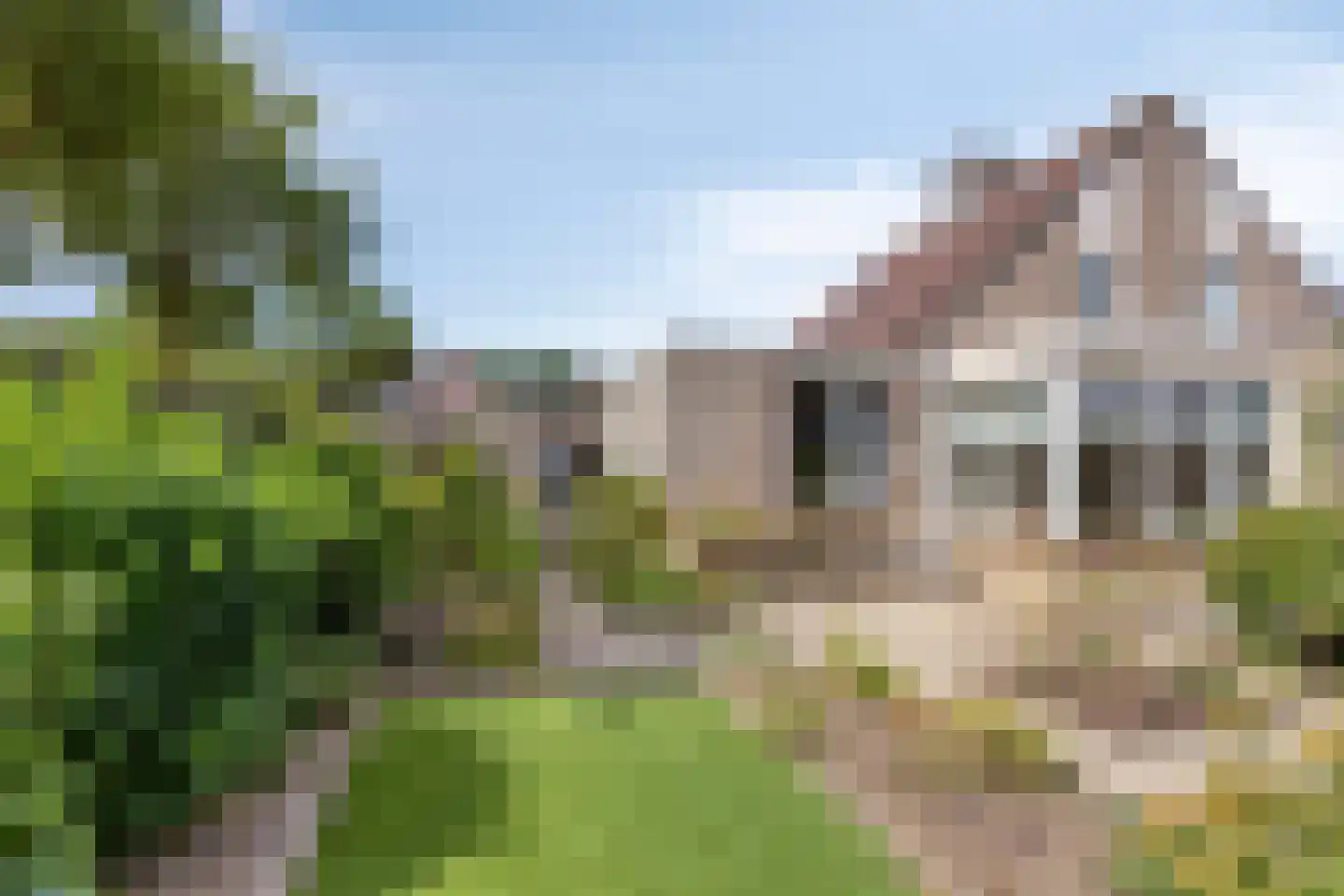 Pinksterbloem 11 Hapert thumbnail 36