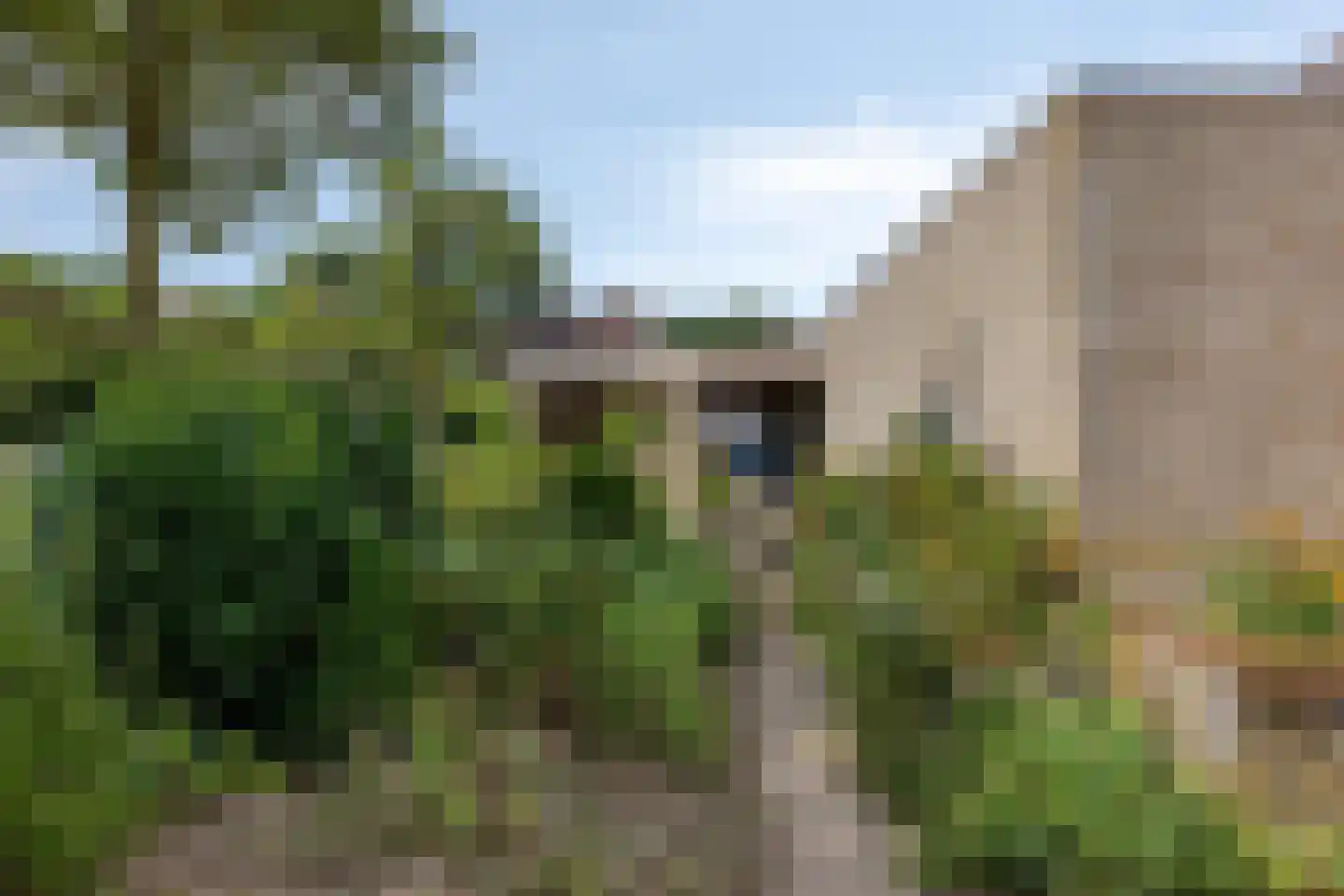 Pinksterbloem 11 Hapert thumbnail 38