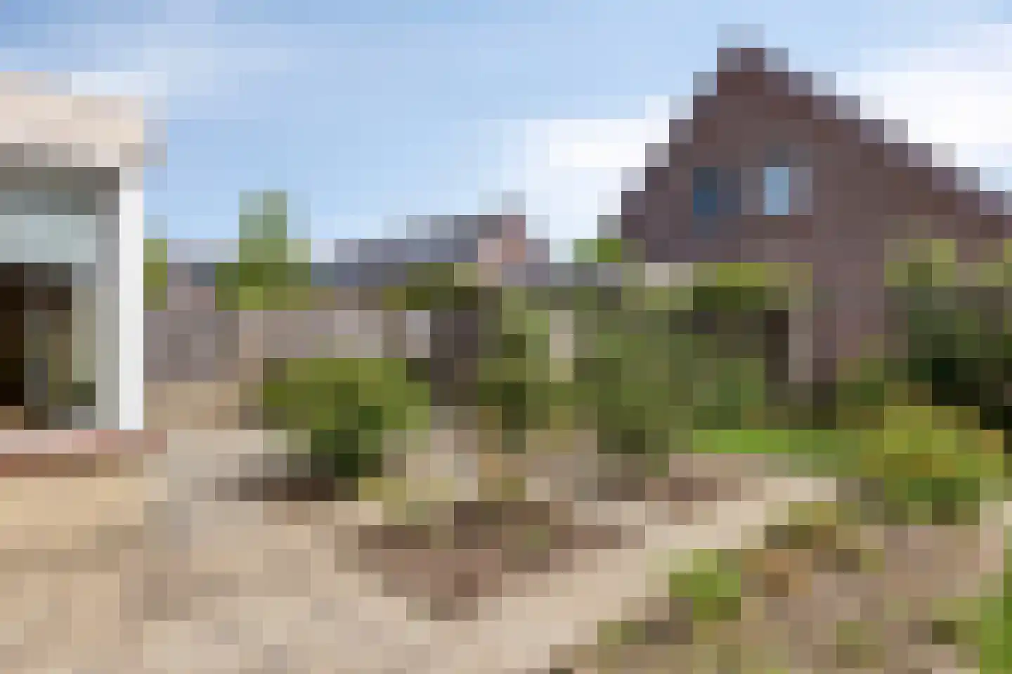 Pinksterbloem 11 Hapert thumbnail 39