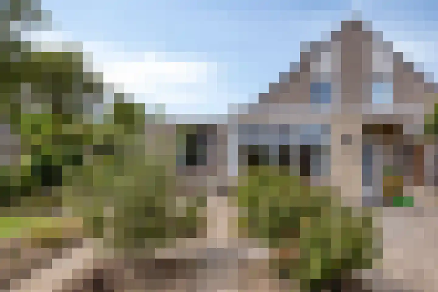 Pinksterbloem 11 Hapert thumbnail 40