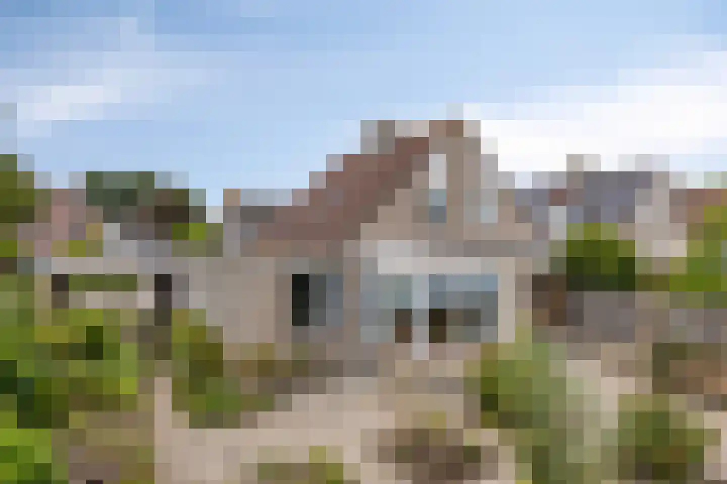 Pinksterbloem 11 Hapert thumbnail 41
