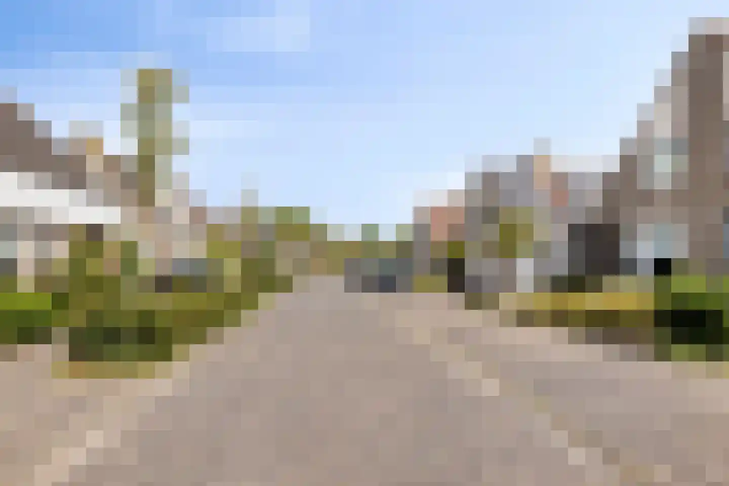 Pinksterbloem 11 Hapert thumbnail 42