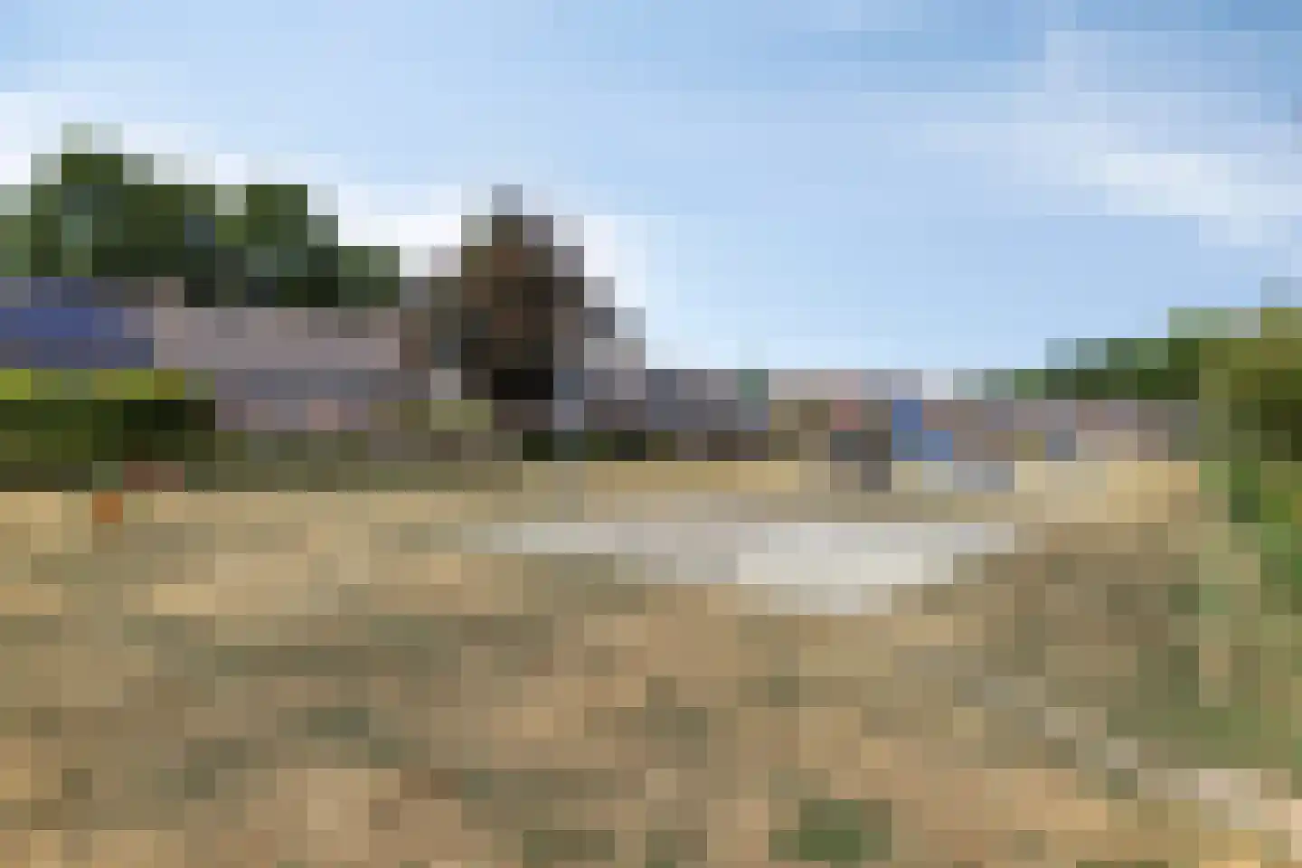 Pinksterbloem 11 Hapert thumbnail 43