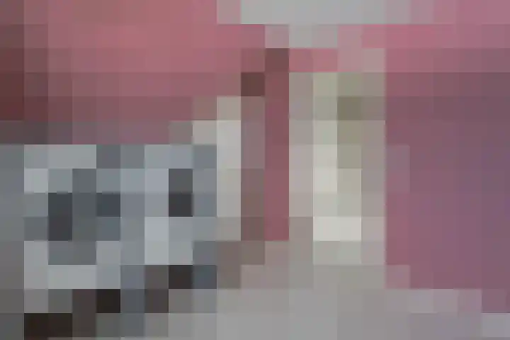 Pinksterbloem 11 Hazerswoude-Dorp thumbnail 28